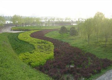 渭河公园 渭河公园-景点，渭河公园-公园建设