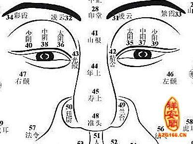 鼻子面相算命图解 面相算命图解 如何从鼻子看人