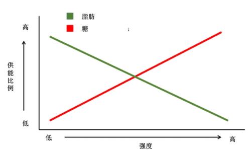 什么运动最消耗脂肪 运动多久开始消耗脂肪