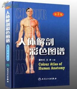 《人体解剖彩色图谱（第2版）》 《人体解剖彩色图谱（第2版）》
