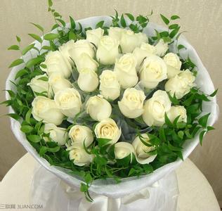 33朵白玫瑰花语 33朵白玫瑰花语 白玫瑰代表什么