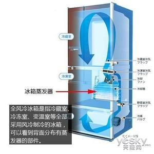 风冷冰箱的缺点 风冷冰箱与直冷冰箱的区别