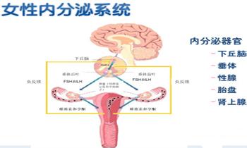 月经周期不规律的原因 月经周期不规律怎么办