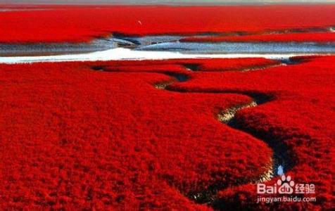 红海滩 红海滩-景观，红海滩-交通线路