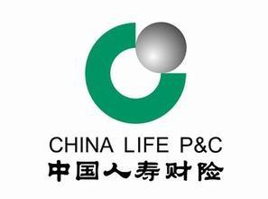 中国人寿保险集团 中国人寿保险股份有限公司 中国人寿保险股份有限公司-集团构成，