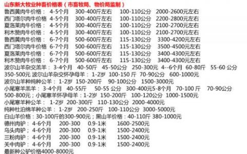 竹鼠养殖可行性报告 竹鼠养殖可行性分析报告