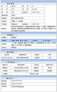 置业顾问应聘简历 应聘置业顾问简历表格