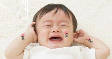 初生儿蚊子咬了怎么办 婴儿被蚊子咬怎么办