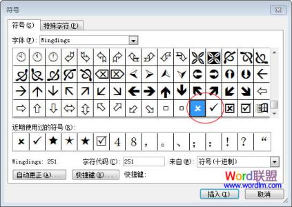 word文档怎么打钩 编辑Word文档时怎样输入中打钩和打叉