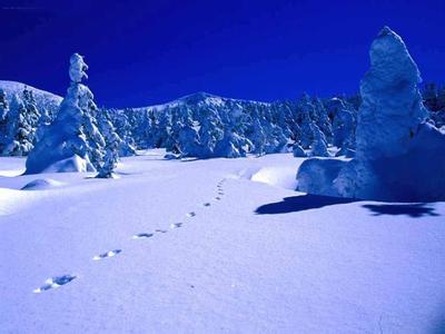 形容道路坎坷的诗句 山回路转不见君，雪上空留马行处。