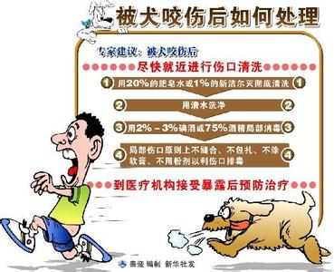 狂犬病发病 狂犬病 狂犬病-基本简介，狂犬病-发病原因