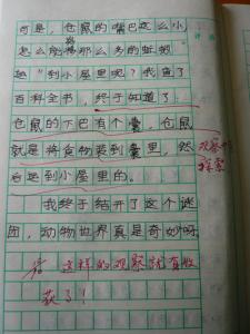 观察作文400字四年级 观察作文