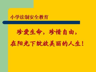 安全及法制教育记录表 中学生安全法制教育教案