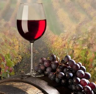 葡萄酒酒标种类图片 葡萄酒 葡萄酒-发展历程，葡萄酒-种类