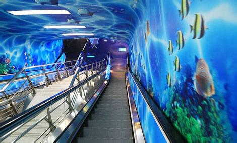 上海海洋水族馆 上海海洋水族馆-场馆概况，上海海洋水族馆-主题