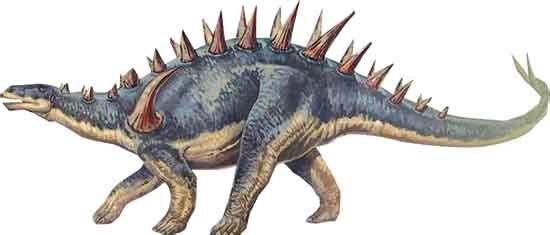 恐龙 恐龙-下级分类，恐龙-化石研究