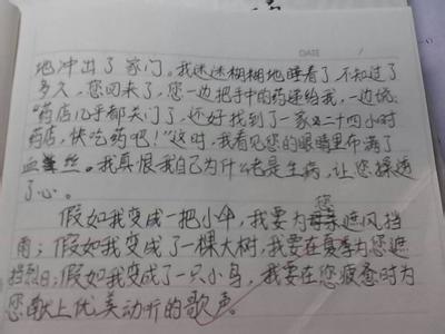 关于亲情的作文800字 关于亲情的作文