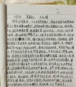 小学生作文童话200字 小学生童话作文--关于熊猫的作文200字5篇