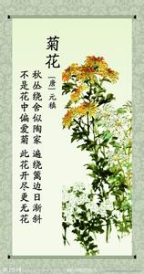 菊花元稹阅读答案 元稹《菊花》阅读答案及赏析