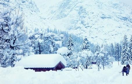 燕山雪花大如席 燕山雪花大如席，片片吹落轩辕台。