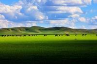 内蒙古大草原 内蒙古大草原-地理环境，内蒙古大草原-气候