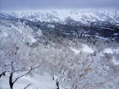 北国风光 千里冰封 【北国风光,千里冰封,万里雪飘】