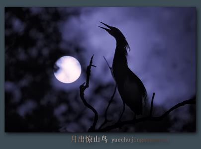 月出惊山鸟全文阅读 月出惊山鸟