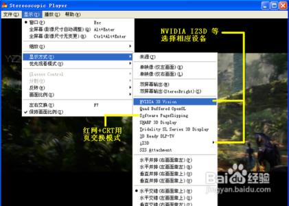 stereoscopic player 3D电影播放器Stereoscopic Player详细设置方法