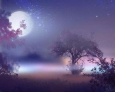 夜月一帘幽梦 “夜月一帘幽梦，春风十里柔情。”的意思及全词翻译赏析