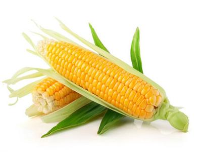 玉米的营养功效有哪些 玉米的营养价值和功效