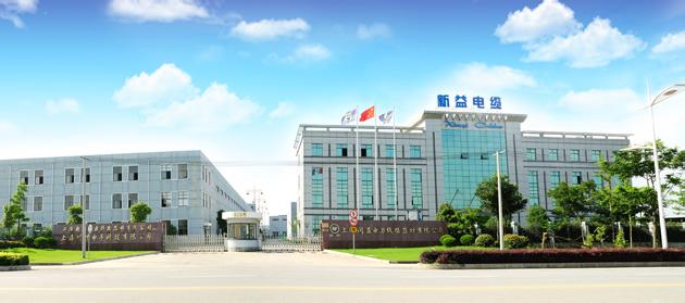 上海电力股份有限公司 上海电力股份有限公司-公司简介，上海电力