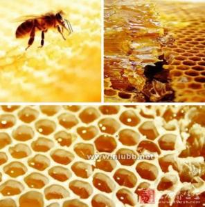 土壤理化性质 蜂胶 蜂胶-物品来源，蜂胶-理化性质