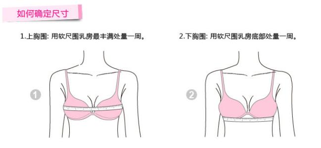 测量胸围的正确方法 怎样测量胸围,正确的胸围测量方法,胸围怎么算