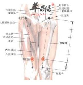 气海血海位置图和作用 血海穴位位置图和作用