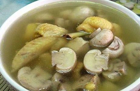 清炖蘑菇鸡汤的做法 蘑菇鸡汤