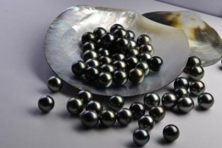 黑珍珠 黑珍珠[珍珠种类] 黑珍珠[珍珠种类]-珍珠种类，黑珍珠[珍珠种类