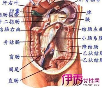 左上腹部肋骨下隐痛 左上腹部隐痛的原因有哪些