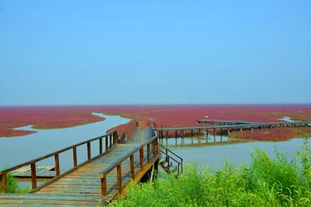 红海滩风景区 红海滩风景区-简介，红海滩风景区-特点