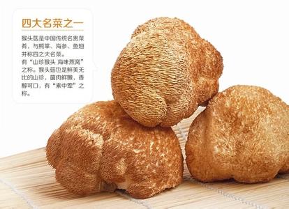 山东种殖猴头菇技术 猴头菇 猴头菇-简要介绍，猴头菇-培殖技术