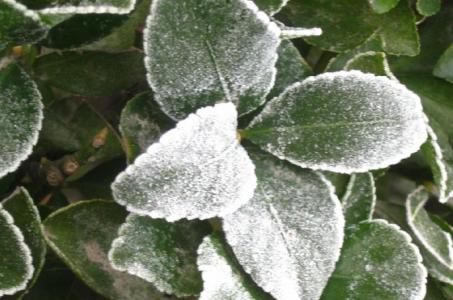 霜降节气 霜降节气祝福语大全