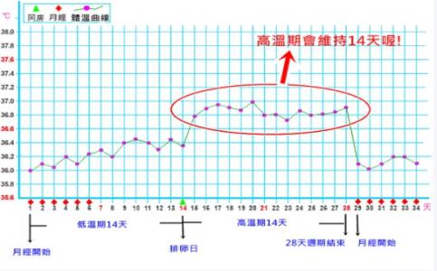 怀孕初期体温变化图 怀孕初期体温变化怎么办