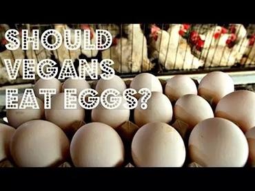 每天吃鸡蛋好吗 每天吃鸡蛋的5个理由