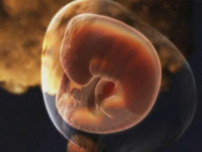 促进胎儿肺部发育针 营养八原则促进胎儿脑发育