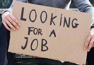 大学生找不到工作 大学生如果找不到工作，也创不了业