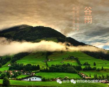 东邪西毒 谷雨 谷雨谨防“湿邪”入侵