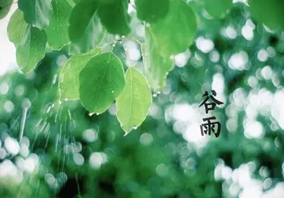 谷雨养生食谱 谷雨养生