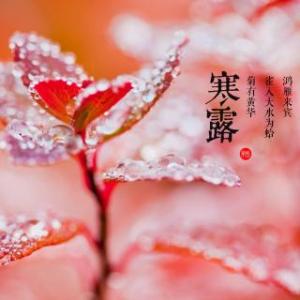 寒露节气 寒露节气如何调理身体