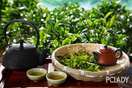 保存茶叶的基本方法 茶叶的保鲜方法