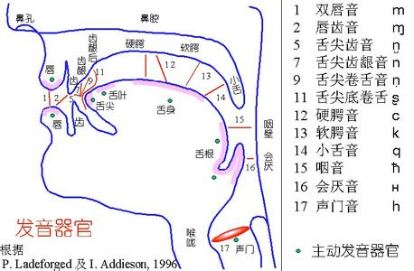 歌唱的咬字吐字技巧 咬字和吐字