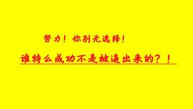 成功的真谛读书笔记 没有选择的成功读书笔记